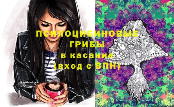 тгк Алексеевка