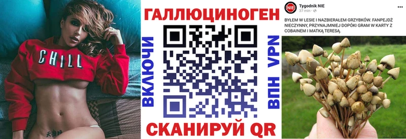 закладка  мега tor  Галлюциногенные грибы Psilocybe  Алушта 